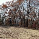 길림농장 이미지