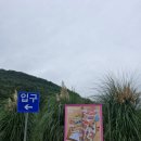 씨유고창부안점 | 가을 가볼만한 곳 고창 부안 핑크뮬리 축제