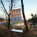 위드해지개 이미지