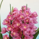 해피데이 이미지