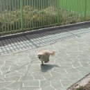 아차산로405번길 네이버블로그