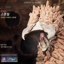 (주)엔투스튜디오 이미지