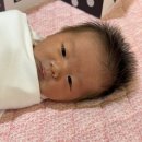 주식회사 연세산후조리원 | 연세순풍산후조리원 프로그램 초점책 뉴본촬영 마사지 후기