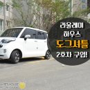 업&도그 2호점 | 도그셔틀 2호차 박스카 레이로 결정했다!라울레미