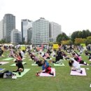 힐링요가(낮) 이미지