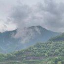 골때리는 탕수육 이미지