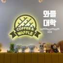 포항시북구66 | 포항 장성동 와플대학 커스터드크림 와플 내돈내산 후기｜포항 디저트 맛집