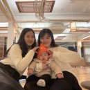 제주오다 이미지