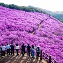 화왕산 경남도민일보