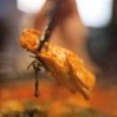 꼴통닭선생 이미지