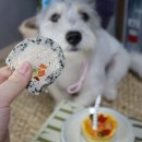 멍뭉한입 이미지