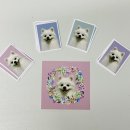 댕댕이냥 이미지