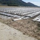 뽑기오빠 뽑기언니 이미지