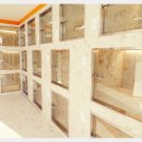 켈리 독, 강남 애견호텔 애견유치원 이미지