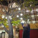 해뜨는빌리지 이미지