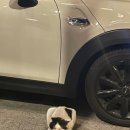 완도6호 이미지