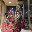 가이아 | 키작녀 신발 추천, 솔트앤초콜렛 아콘01 블랙 내돈내산 후기(아디다스 오즈가이아 비교)