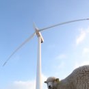 상서목장 이미지