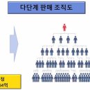 법무법인숲 이미지
