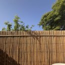 신엄안길 이미지