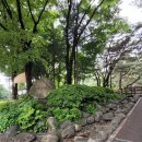 잔버들경로당 | 이름처럼 예쁜 송파구의 연화공원