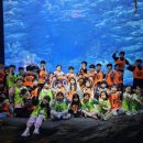 원 탑 태권도 이미지