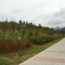 전남조경(주)