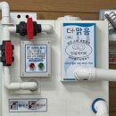 잡수새우 이미지