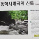 계룡산국립공원 Daum카페