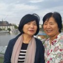 차와 함께 세계여행 이미지