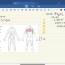 더블에스핏 이미지