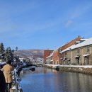 신사2-005 | 2024년 연말 북해도 패키지 여행 후기_3일차(하나투어, 1인 예약)