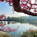 올리브영 영남대점 이미지