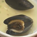 청록참치