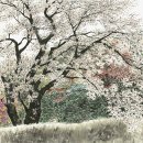 신부문화회관 이미지