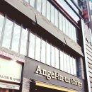 광코24시 이미지