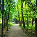 일자산숲속화장실 이미지