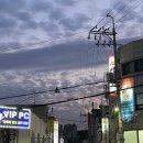 최강단대 태권도장 이미지