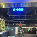 어푸어푸 | 수원 영통 l 판타지움 어푸어푸 솔직 후기 (아이 동반 카페)