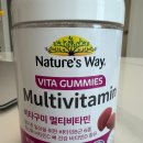 네이쳐스 비타민 | 네이처스웨이 비타구미 멀티비타민 후기｜간편하게 챙기는 하루 영양 루틴