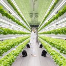 (주)베스트팜 이미지