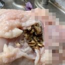 하림농장 이미지