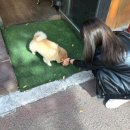 참치명장 이미지