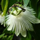 전국행정사 이미지