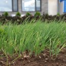 성산환승정류장 이미지