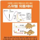 채비