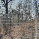 경기○○ 태양광발전소 이미지