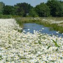 숲환경놀이지도사 이미지