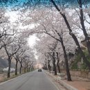 한수면행정복지센터 이미지