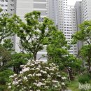 코리아공인중개사사무소 이미지